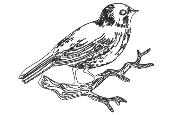 Bird Line: A Designer’s Review for Handmade Gifts