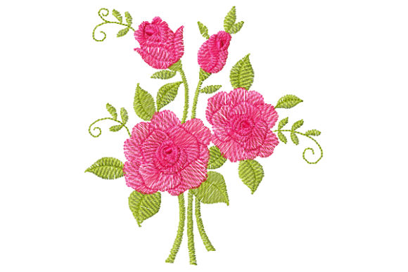 Rosa Dora: A Designer’s Review for Boutique Sweatshirts