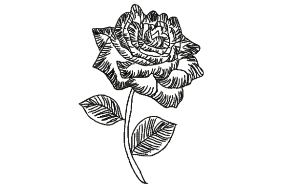 Rose Line: A Designer’s Review for Small Business Merch